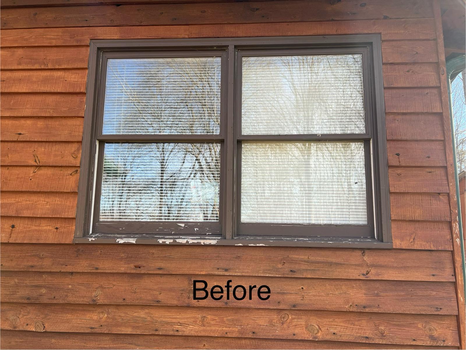 Proyecto de pintura 25